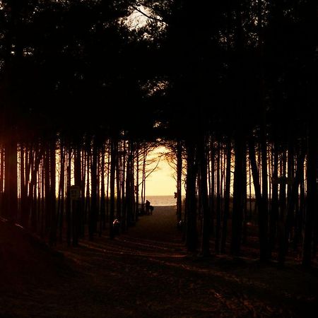 Palac Sasino Odnova Bagian luar foto