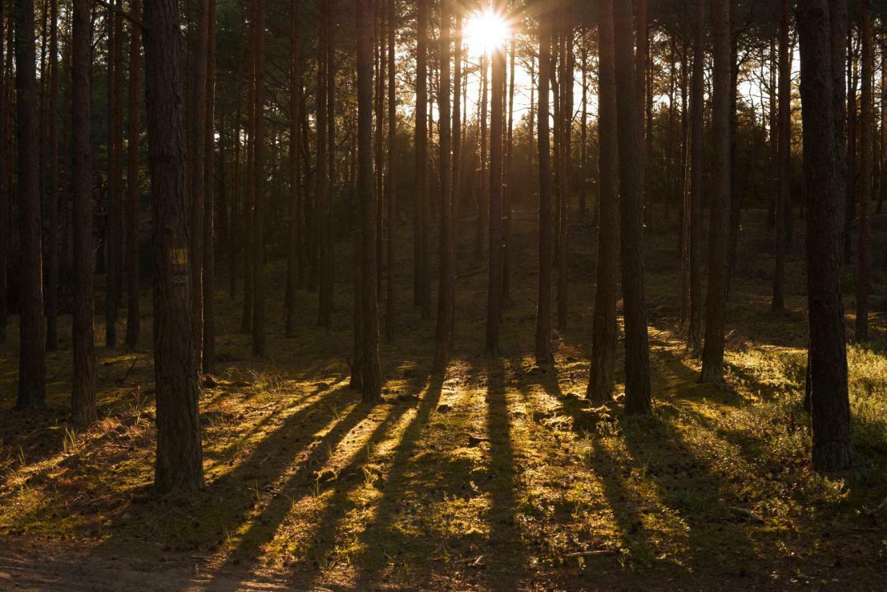 Palac Sasino Odnova Bagian luar foto